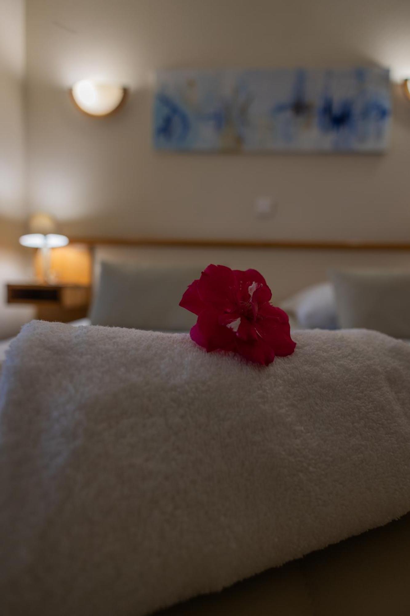 Logis Des Cretes De Pignols Hotel Moissac Bagian luar foto